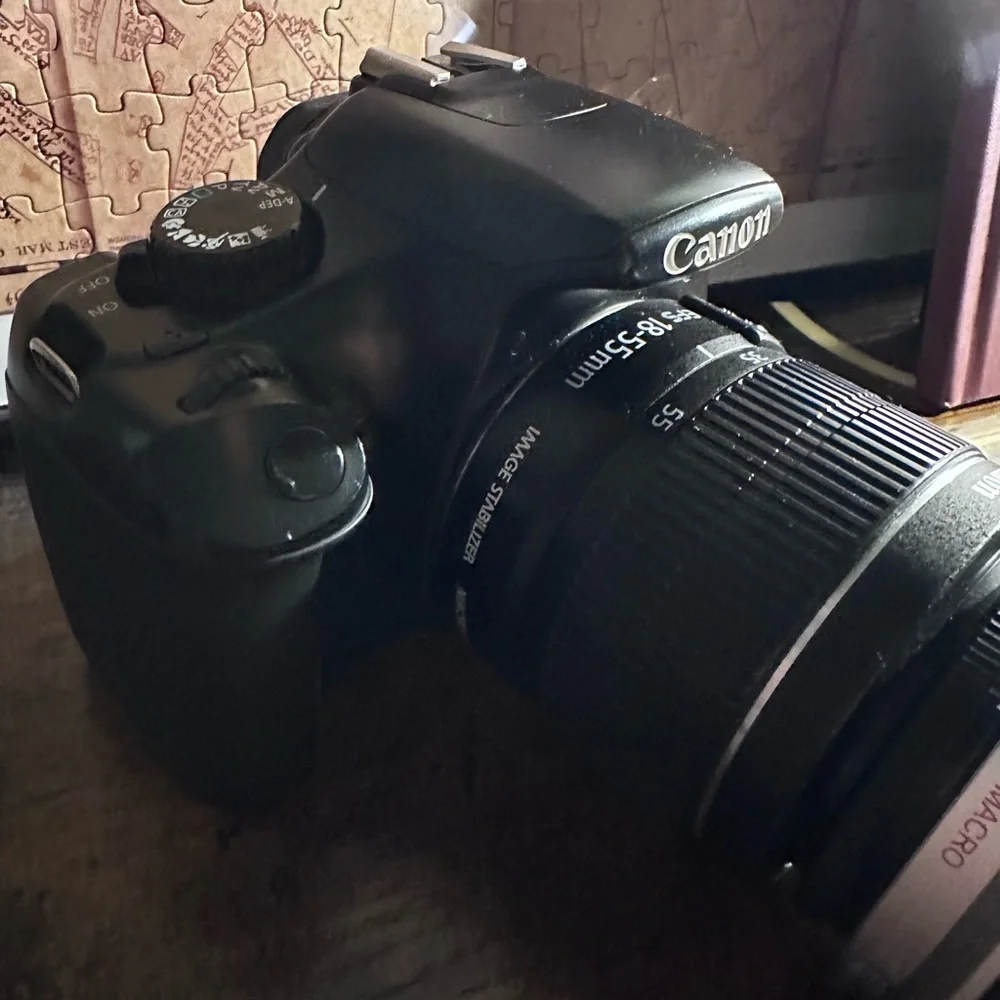 Canon EOS Rebel T3 Black Digital Camera